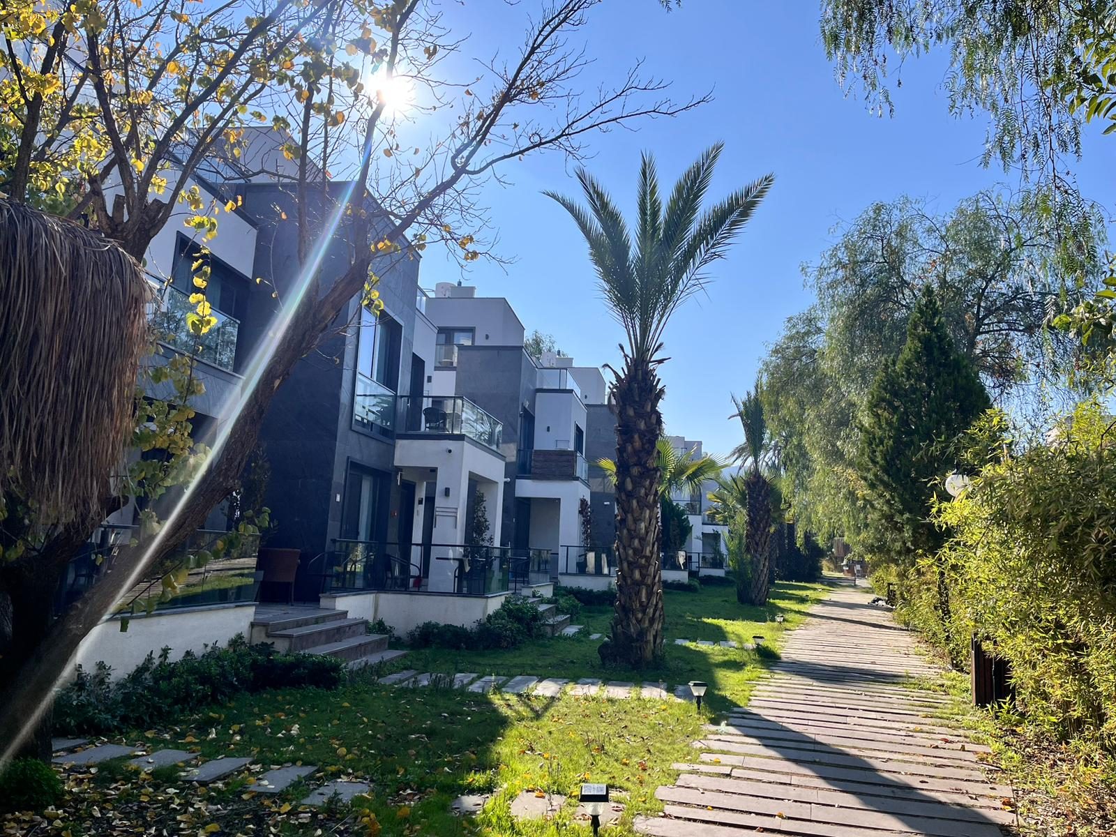 Surman Hotel bahçe yolu ve palmiyeler